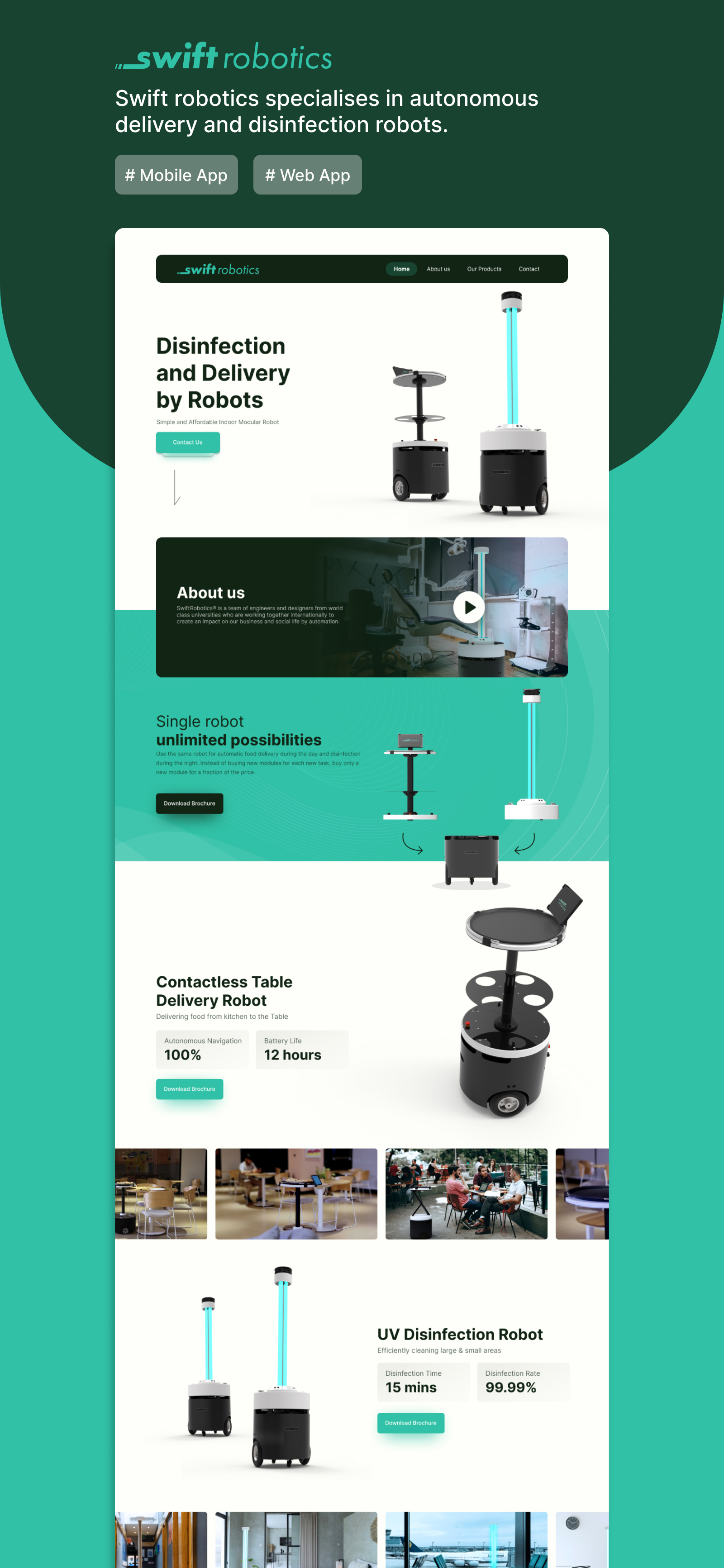 101Deploy portfolio web design
